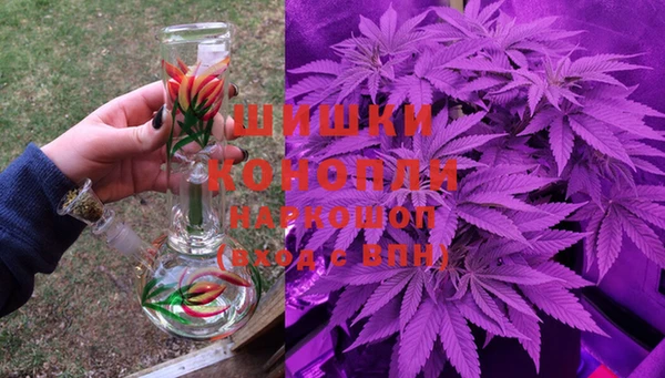 амф Володарск