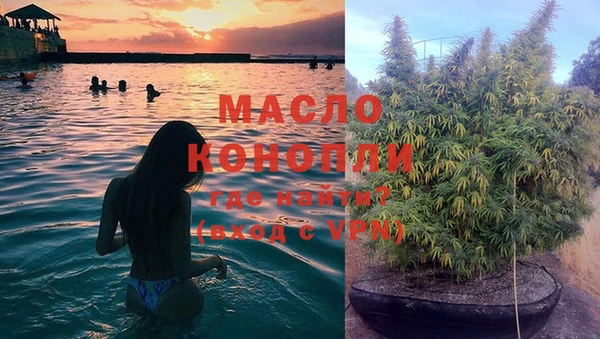 амф Володарск