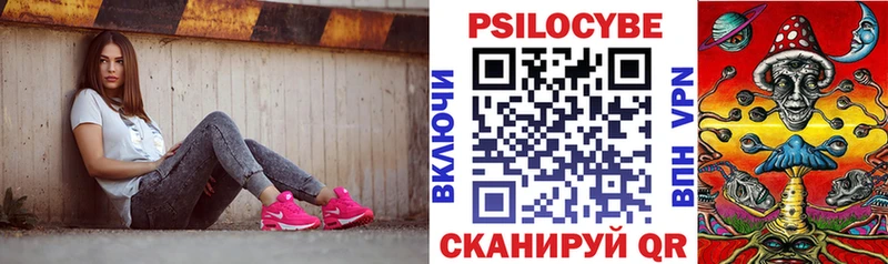 где продают наркотики  Камешково  Галлюциногенные грибы мухоморы 
